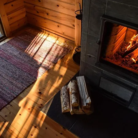 Loma-autio Taehti Puumala