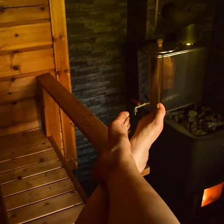 Loma-autio Taehti Chalet Puumala